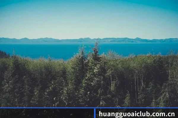 海外版图扩张