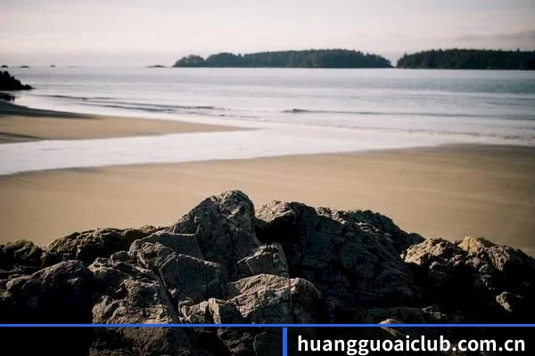 算力预测塌房